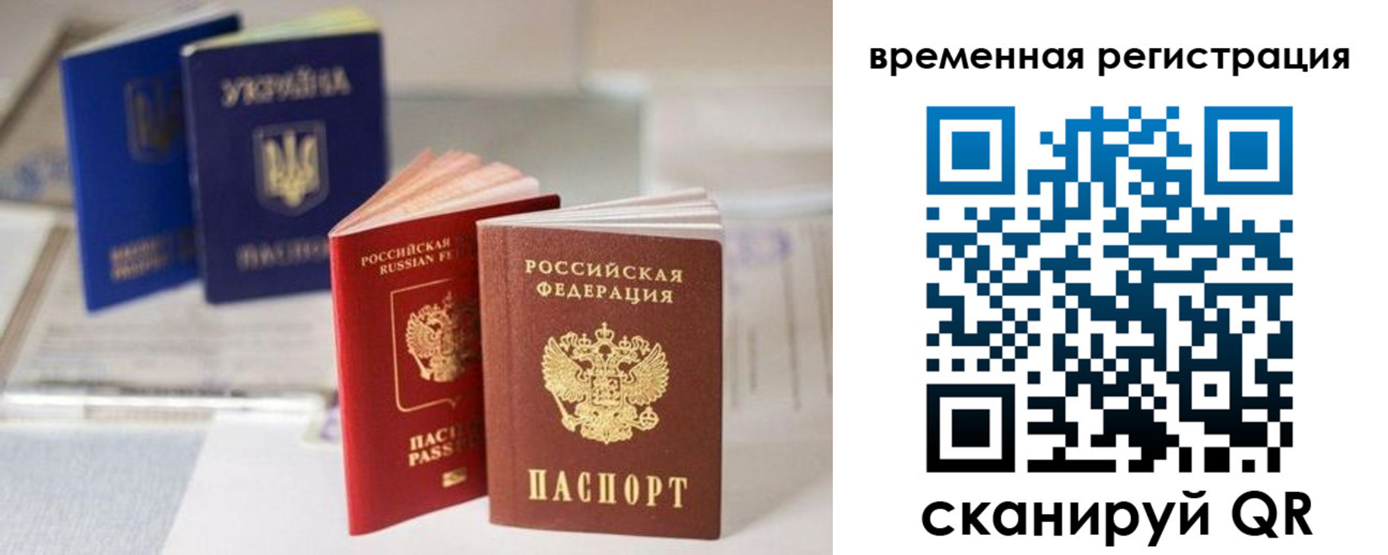 прописка поиск в Новом Осколе